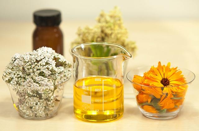 Filipendula ulmaria, Meadowsweet, in beakers